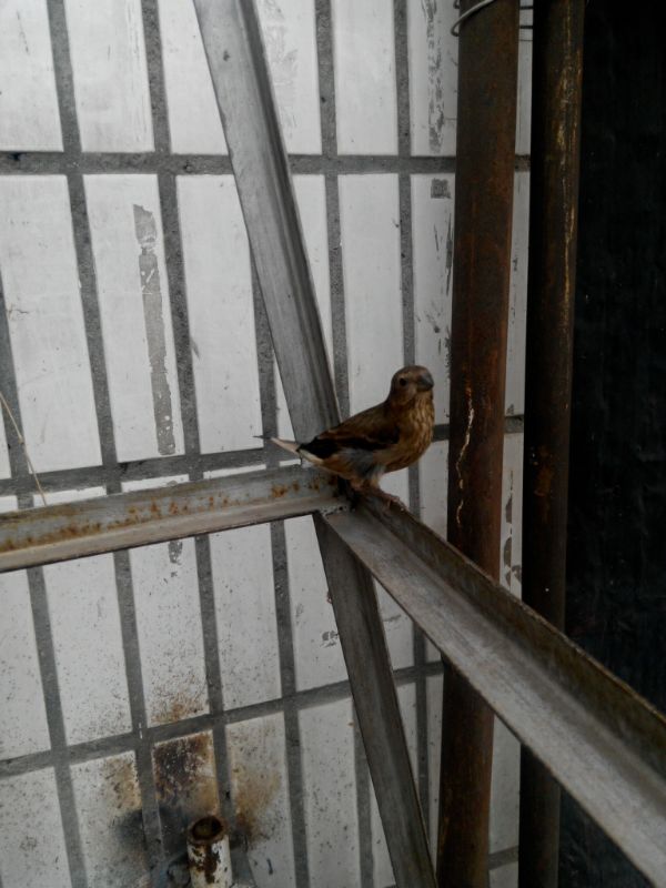 UC_Photo_010.jpg