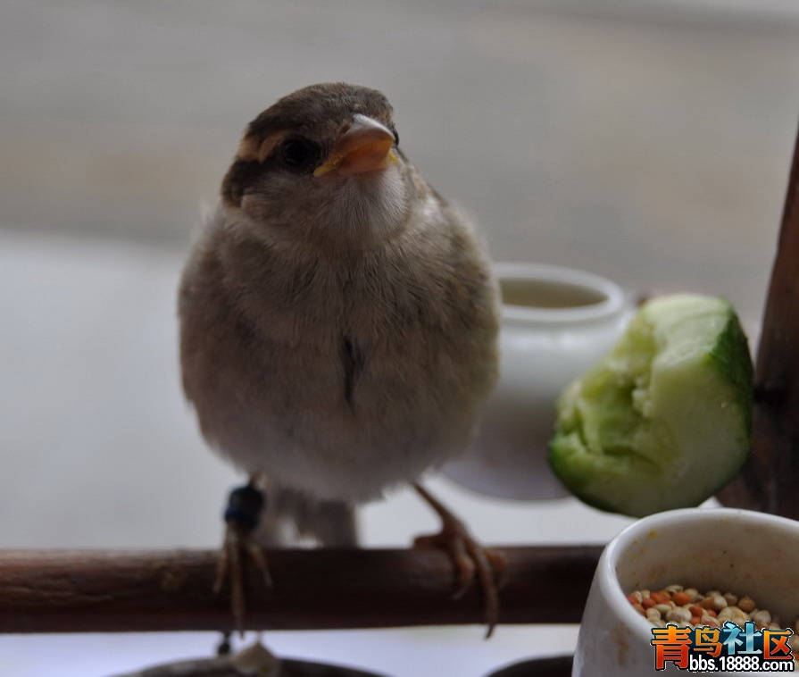 DSC_0038.jpg