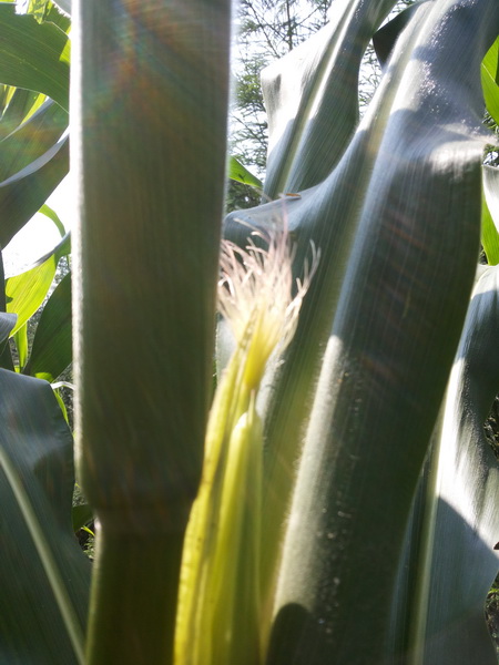 20150719_100929_调整大小.jpg