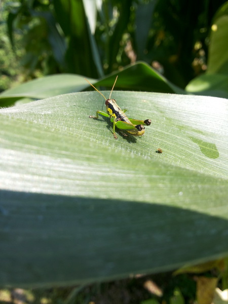 20150719_100957_调整大小.jpg