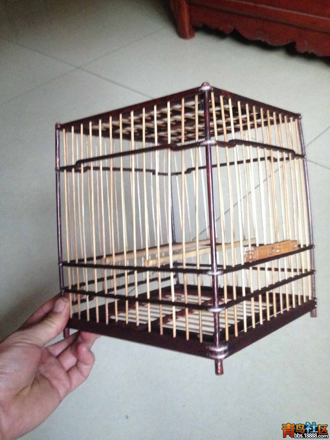 照片 495.jpg