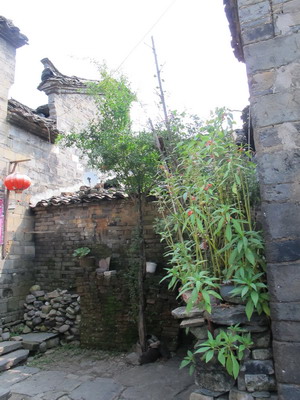 IMG_1932_缩小大小.JPG