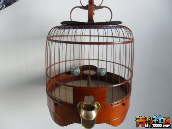 鸟笼！.jpg