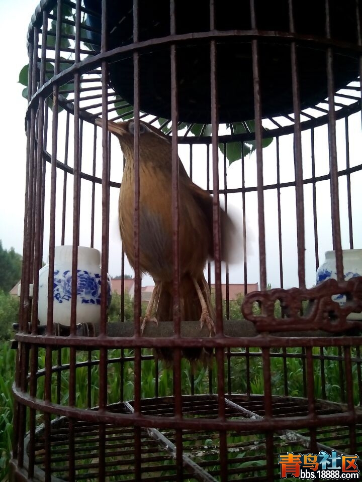 QQ图片20150714164515.jpg
