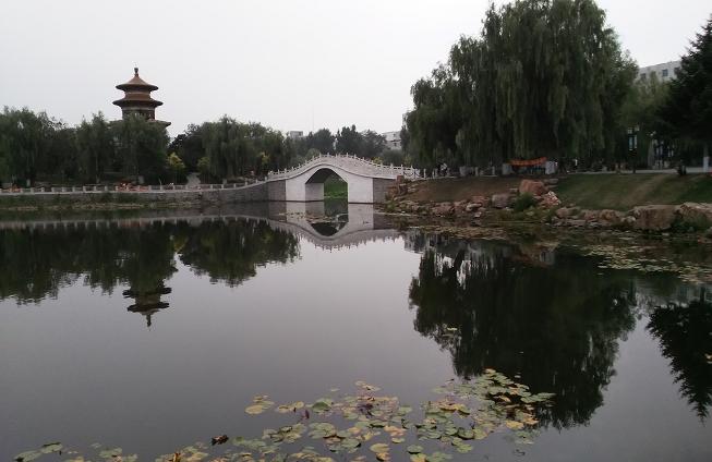 劳8.JPG