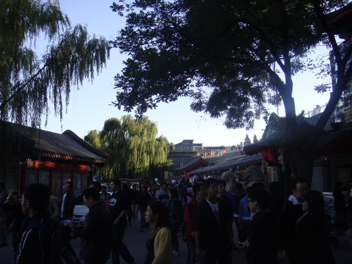 DSC01368_调整大小.JPG