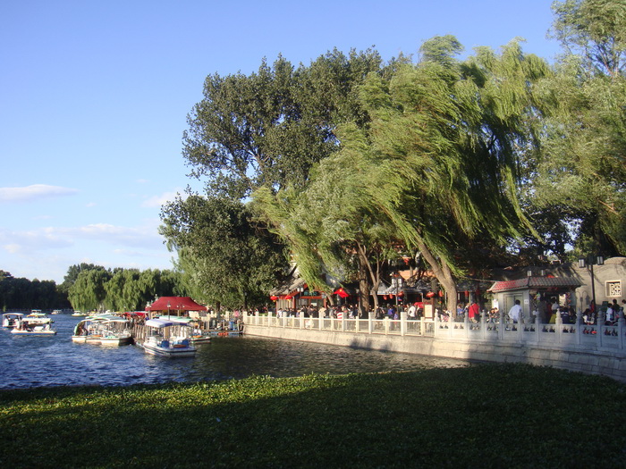 DSC01355_调整大小.JPG