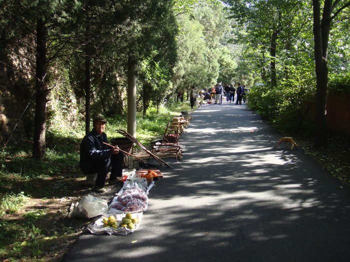 DSC01299_调整大小.JPG
