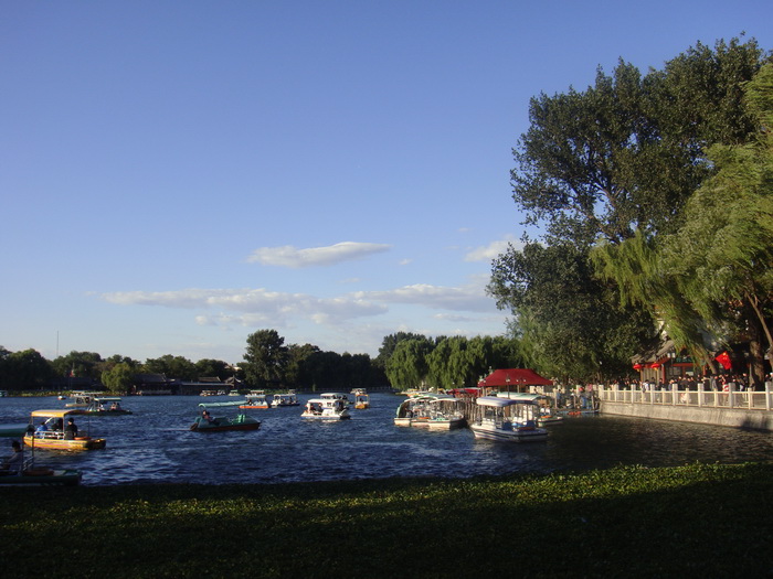DSC01356_调整大小.JPG