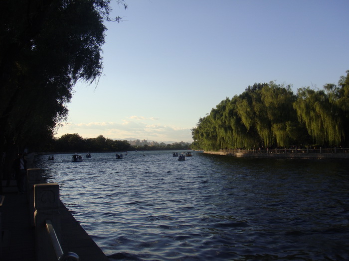 DSC01377_调整大小.JPG