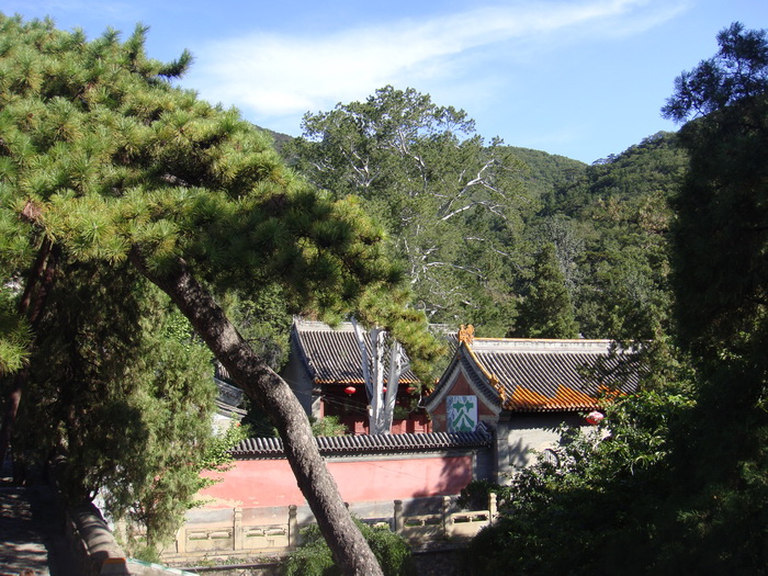 DSC01305_调整大小.JPG