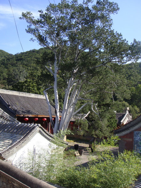 DSC01307_调整大小.JPG
