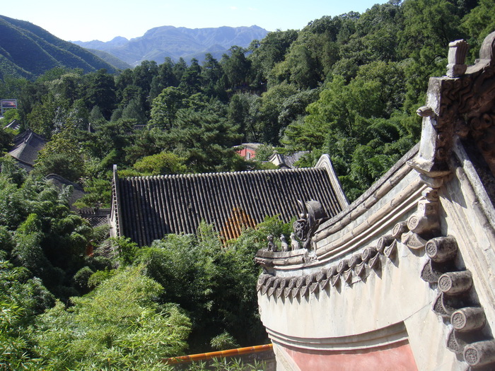 DSC01332_调整大小.JPG