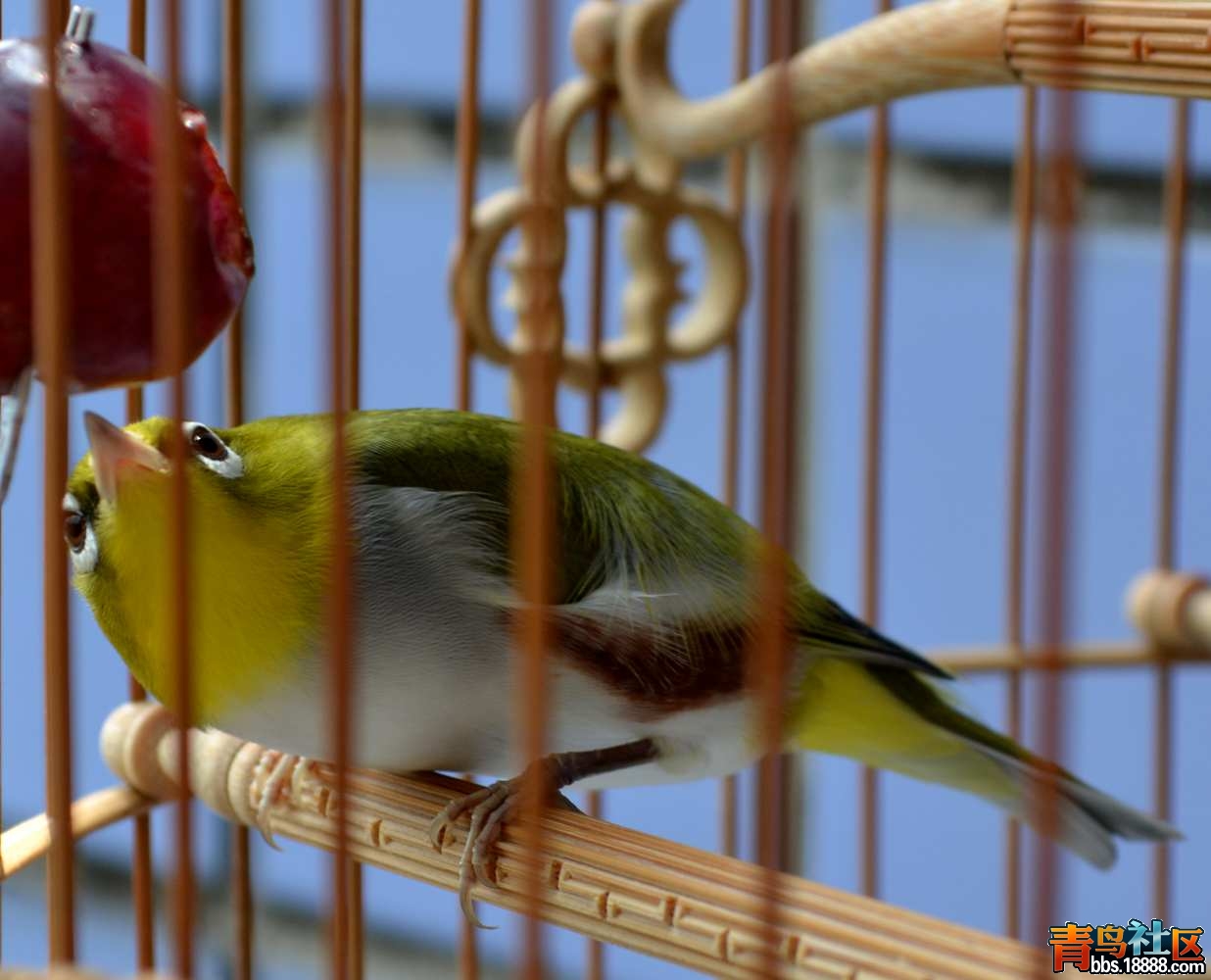 DSC_2330.JPG