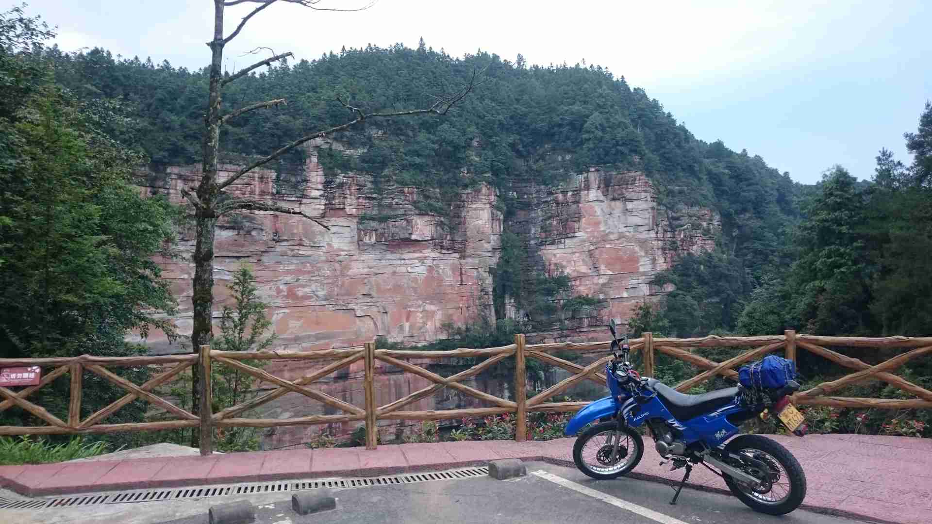 DSC_0427.jpg