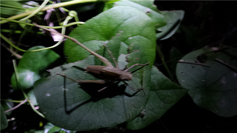 20150730_200812_副本.jpg