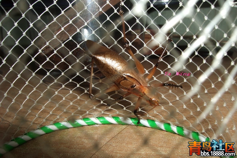 DSCF3097_缩小大小.jpg