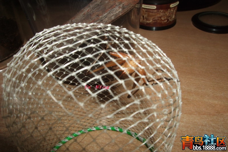 DSCF3094.jpg