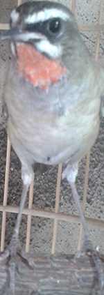20150707_153511_mh1436844180956.jpg