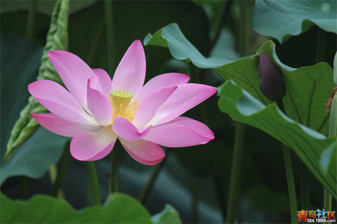 IMG_9267_看图王.jpg