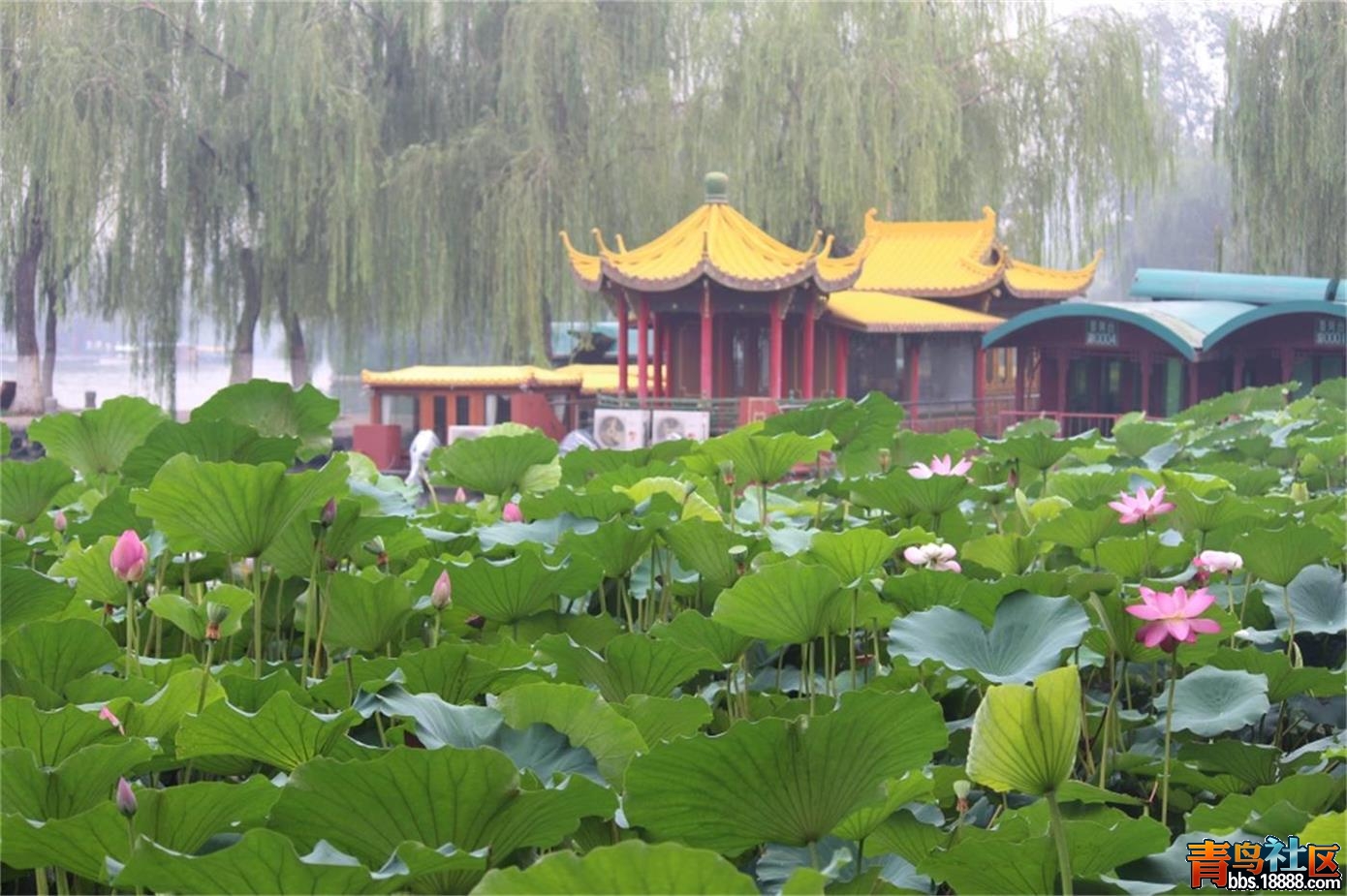 IMG_9280_看图王.jpg