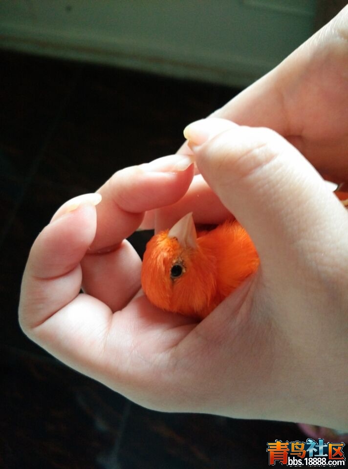 image.jpg