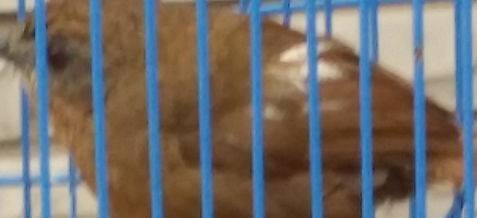 20150806_143825_mh1440604221662.jpg