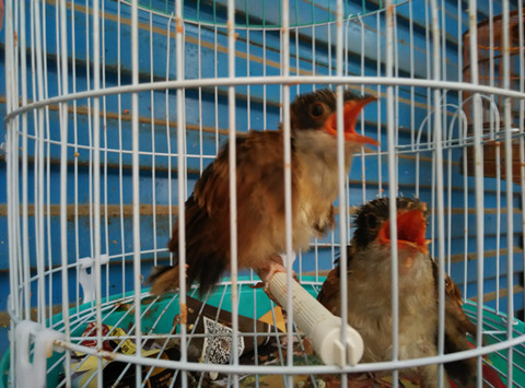 IMG_20150830_171158_副本.jpg
