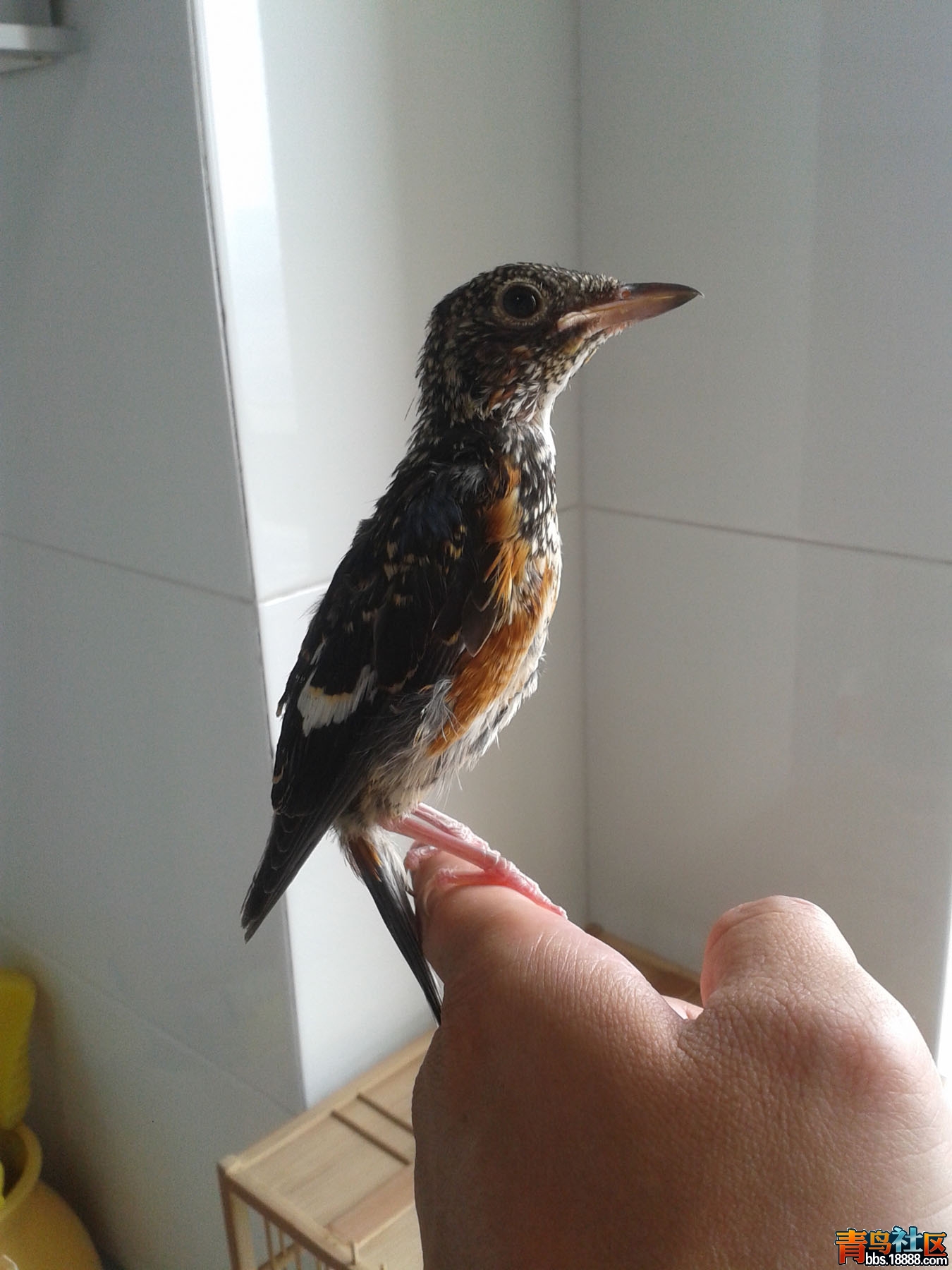 20150726_094314.jpg