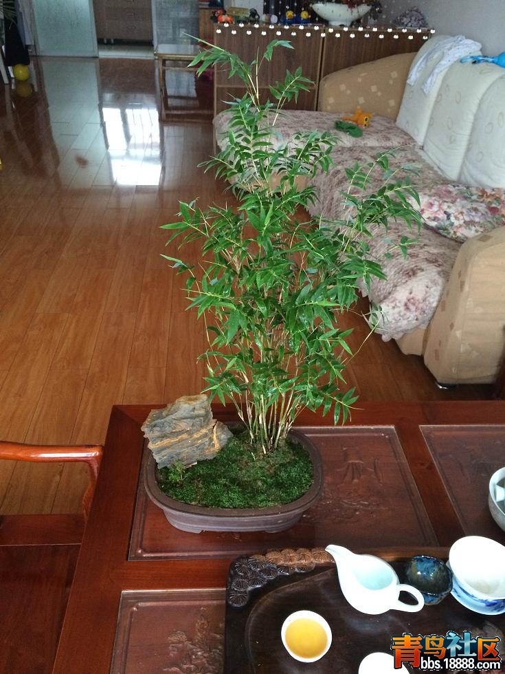 照片 013.JPG