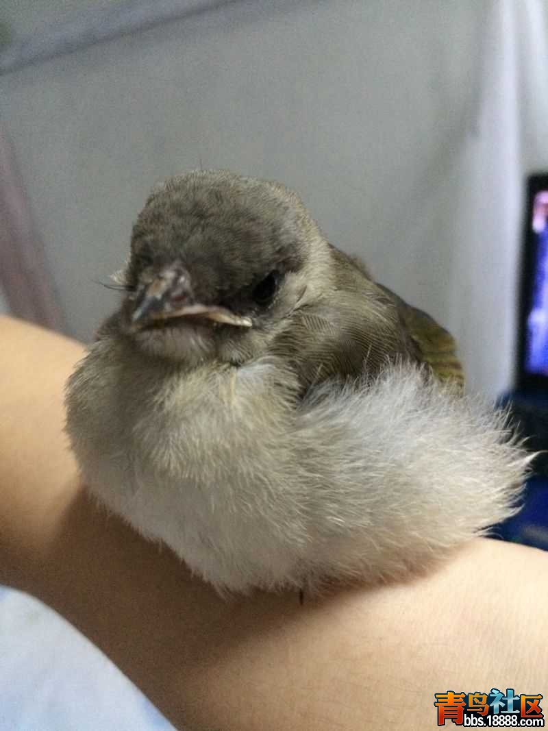 照片 011.jpg