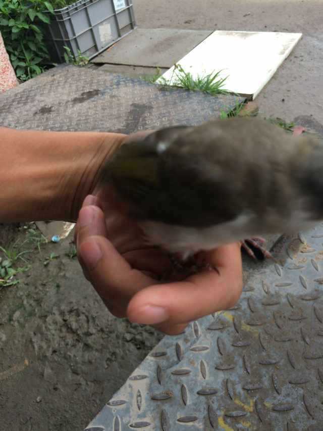 照片 031.jpg