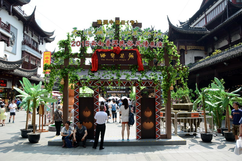 DSC_2617_缩小大小.jpg
