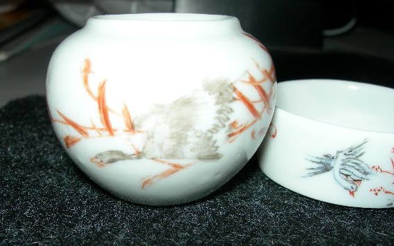 DSCN6743.JPG