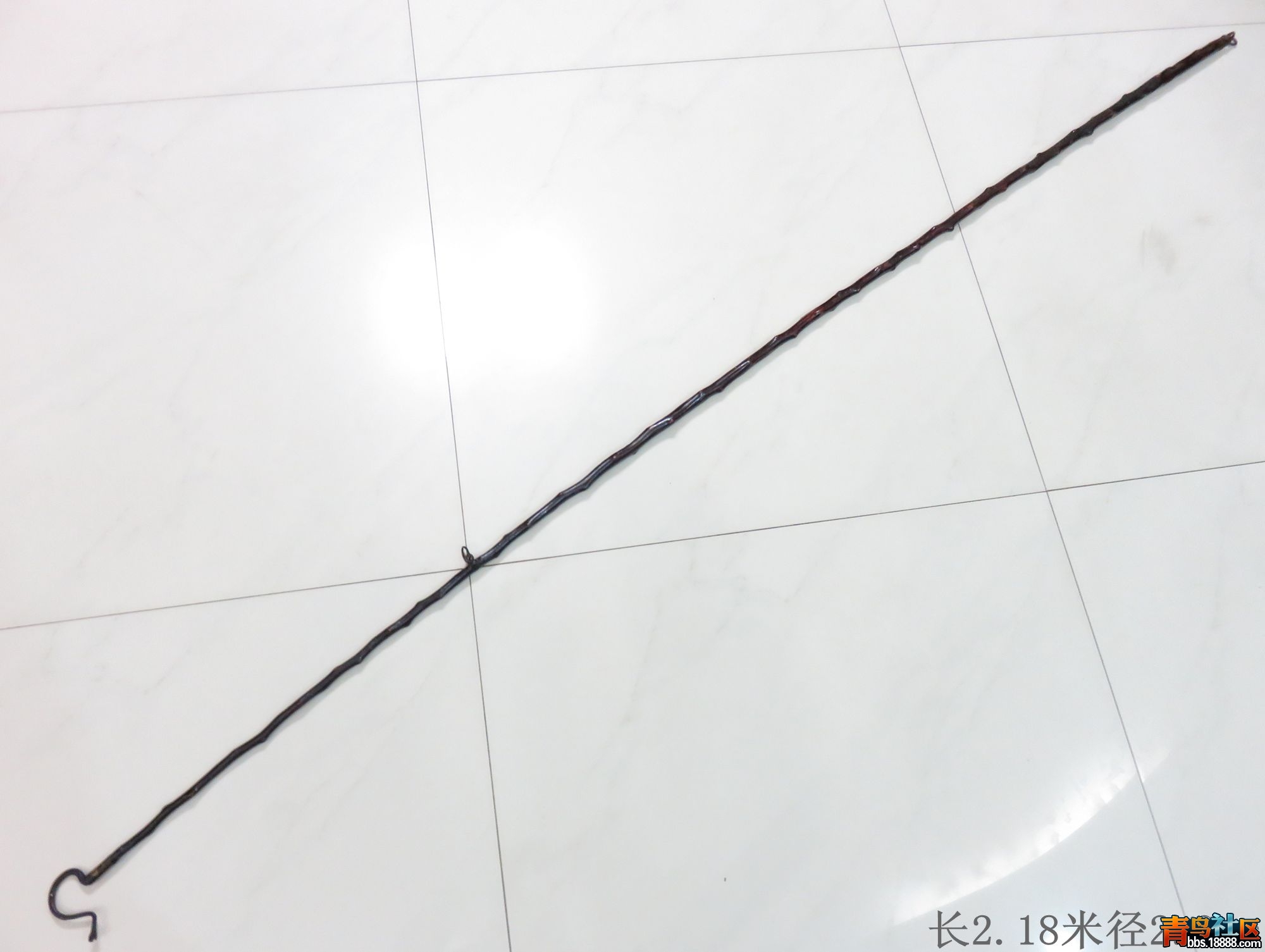 照片 218.jpg