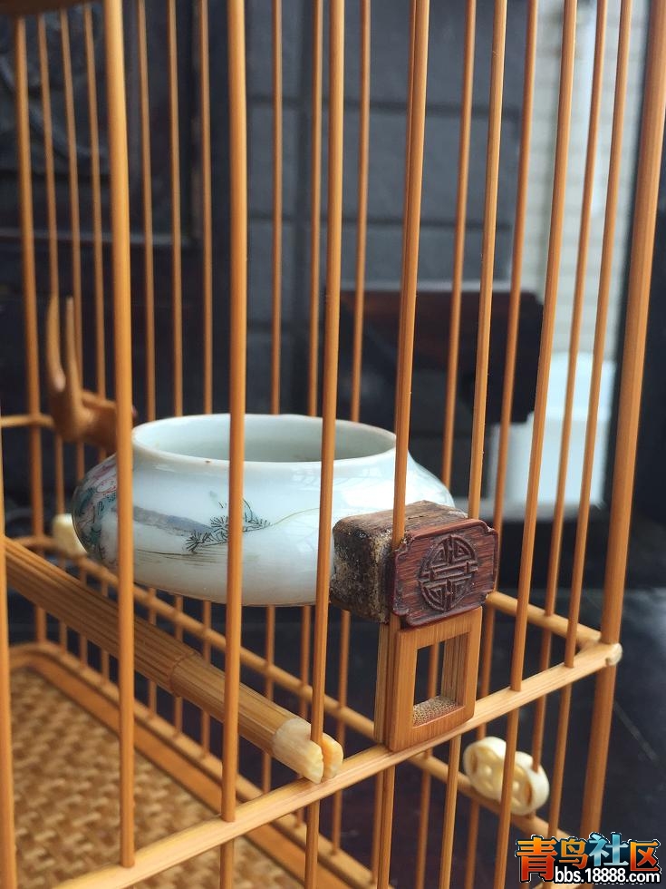 照片 085.jpg