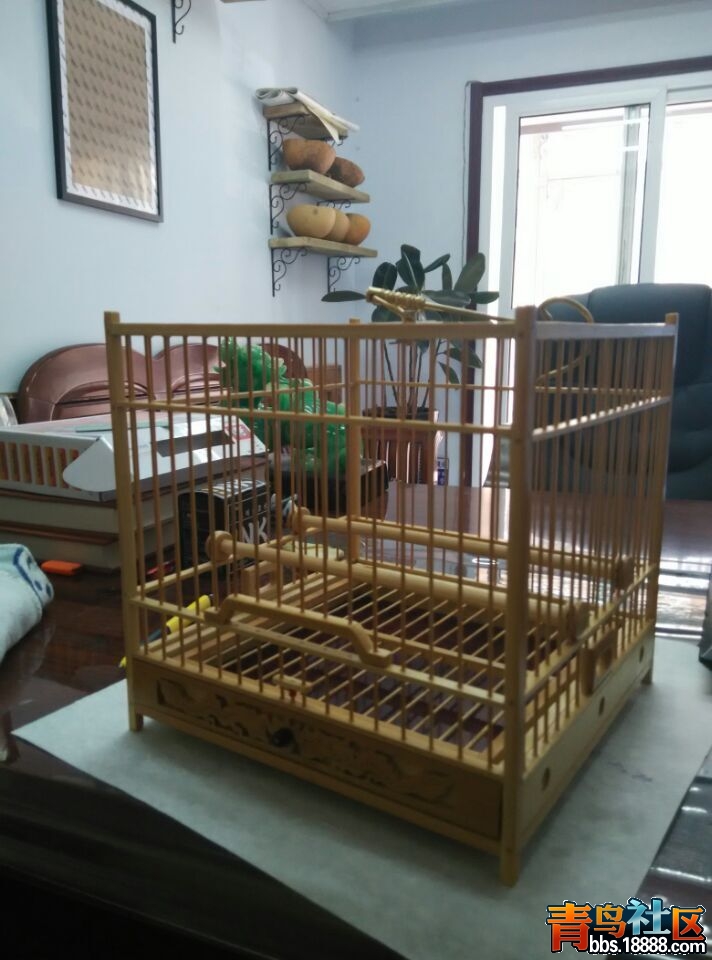 QQ图片20150814110419.jpg