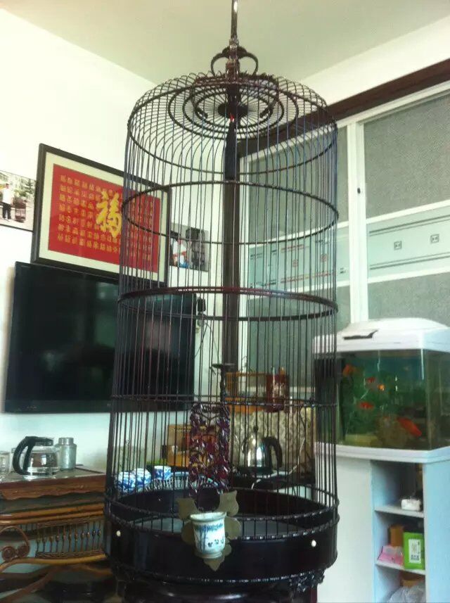 QQ图片20150815124149.jpg