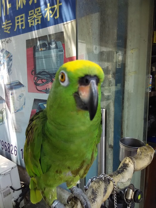 IMG_20150804_111404.jpg