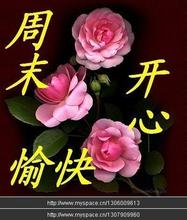 周末愉快.jpg