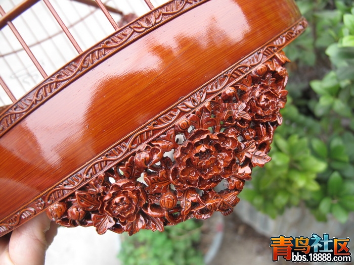 IMG_1175_调整大小.JPG