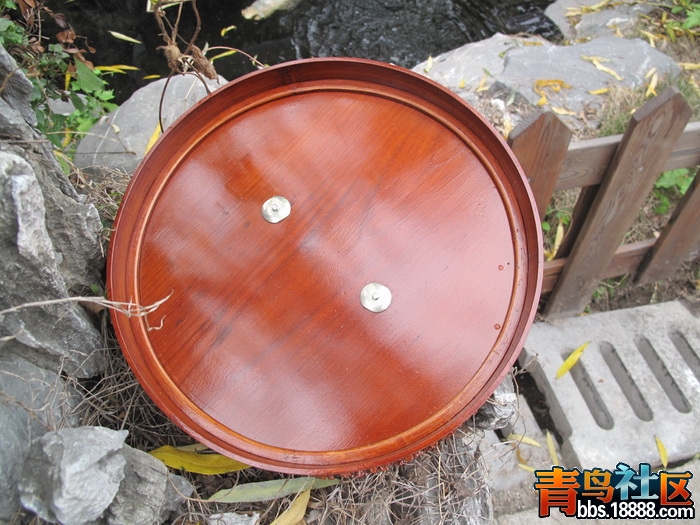 IMG_1177_调整大小.JPG