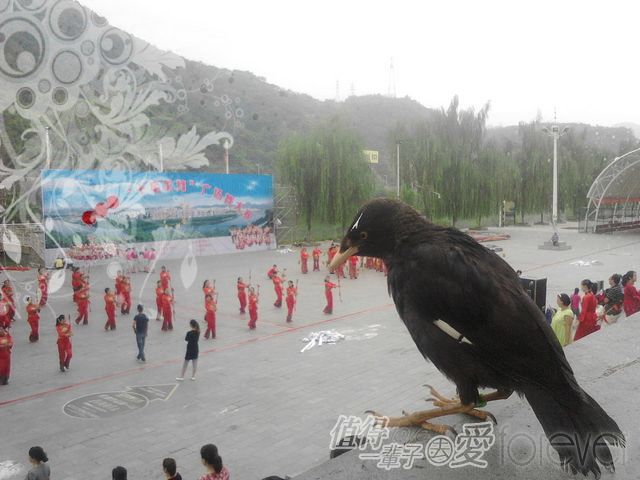 IMG20150825080050.jpg
