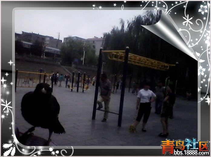 IMG20150825075444.jpg