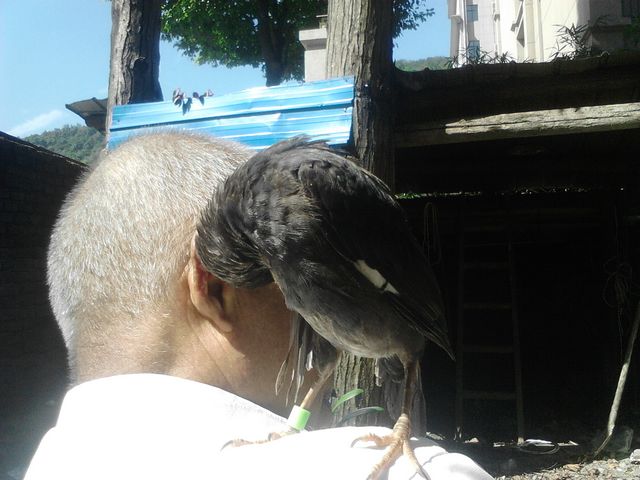 IMG20150821101503.jpg