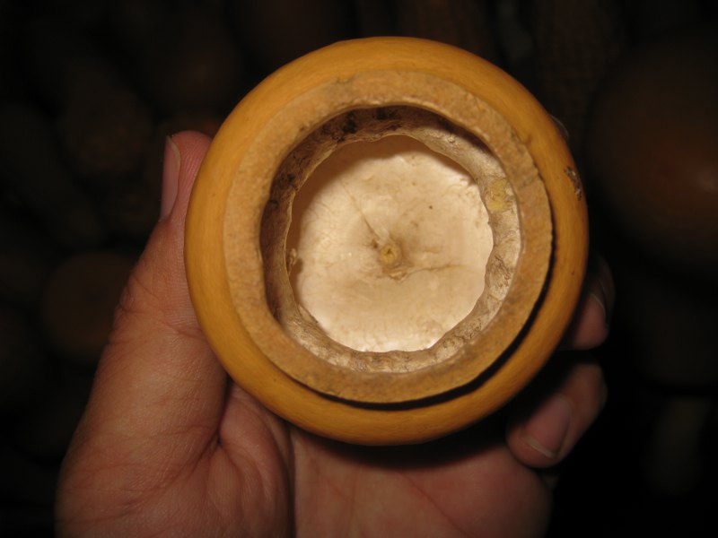 照片 392_800x600.jpg