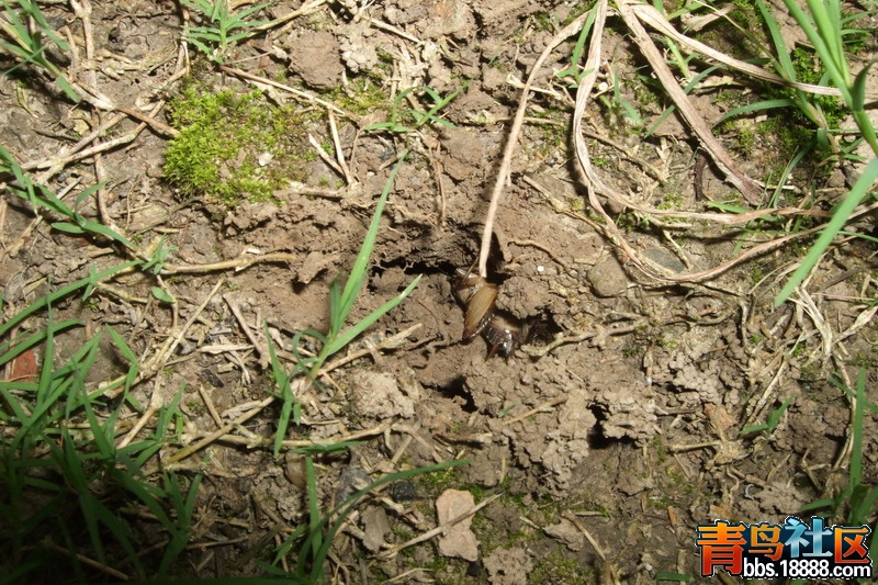 DSCF3077_缩小大小.jpg