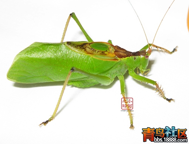 纺织3.jpg