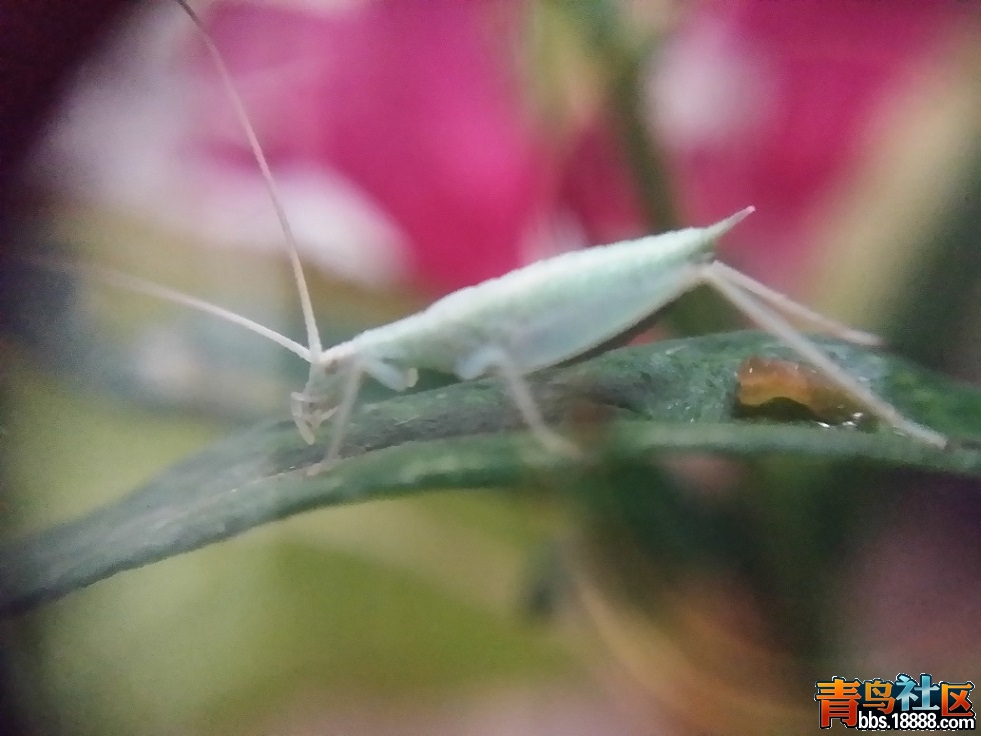 20150820_004728.jpg