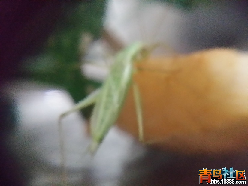 20150820_005242.jpg